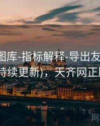 天齐网图库-指标解释-导出友好-速查页(持续更新)，天齐网正版图