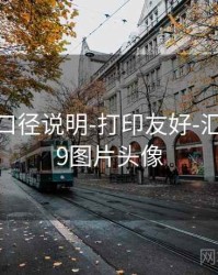 99图库-口径说明-打印友好-汇总页，99图片头像