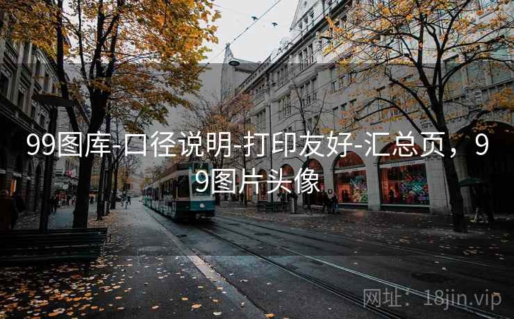 99图库-口径说明-打印友好-汇总页，99图片头像